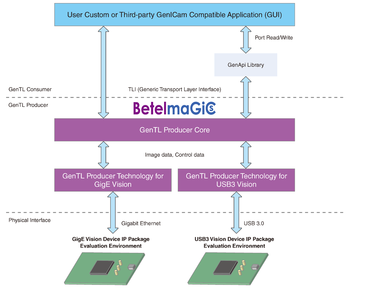 Software Configuration of GenICam 